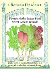 Lettuce Farmer's Market Blend Seeds