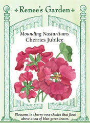 
            
                Load image into Gallery viewer, Nasturtium Cherries Jubilee Seeds
            
        