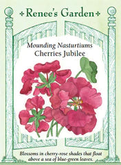 Nasturtium Cherries Jubilee Seeds