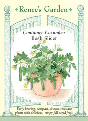 Cucumber Bush Slicer Seeds
