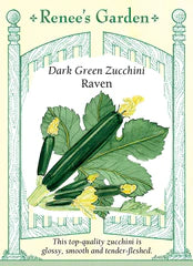 Squash Summer Zucchini Raven Seeds