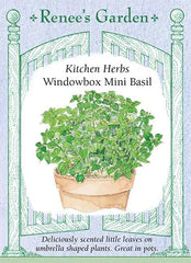 Basil Windowbox Seeds