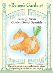 Onion Golden Sweet Spanish Seeds