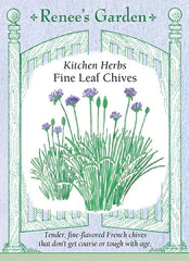 Chives Fine Leaf Seeds