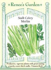 
            
                Load image into Gallery viewer, Celery Merlin Seeds
            
        