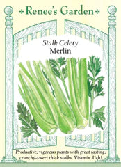 Celery Merlin Seeds