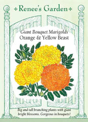 Marigold Orange & Yellow Beast Seeds
