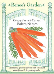 Carrot Bolero Seeds