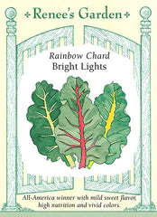 Chard Rainbow Bright Lights Seeds
