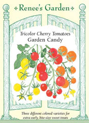 
            
                Load image into Gallery viewer, Tomato Cherry Garden Candy Seeds
            
        