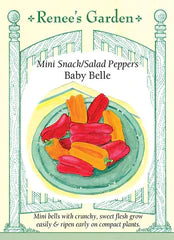 Pepper Sweet Baby Belle Minis Seeds