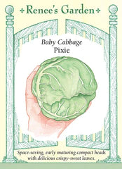 
            
                Load image into Gallery viewer, Cabbage Pixie Seeds
            
        