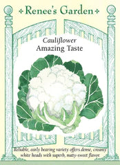 
            
                Load image into Gallery viewer, Cauliflower Amazing Taste Seeds
            
        