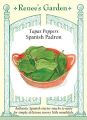 
            
                Load image into Gallery viewer, Pepper Sweet Spanish Padron Seeds
            
        