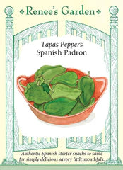 Pepper Sweet Spanish Padron Seeds