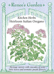 Oregano Italian Seeds