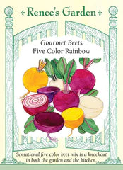 
            
                Load image into Gallery viewer, Beet Five Color Rainbow Seeds
            
        