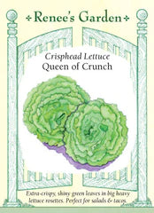 Lettuce Queen of Crunch Crisphead Seeds