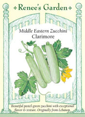 Squash Summer Zucchini Clarimore Seeds
