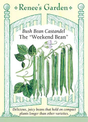 Bean Bush Castandel Weekend Seeds