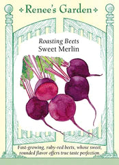 Beet Merlin Seeds