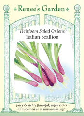 
            
                Load image into Gallery viewer, Onion Scallions Italian Seeds
            
        