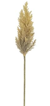 
            
                Load image into Gallery viewer, 33&amp;quot; Pampas Grass Spray Tan - Florals and Foliage
            
        