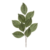 27" Magnolia Leaf Spray - Florals and Foliage