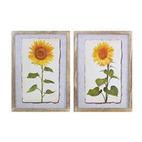 12"x17" Sunflower Print (Assorted)