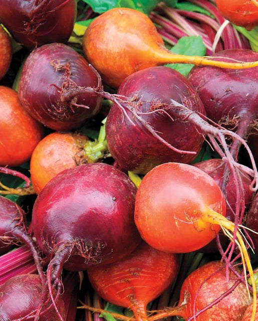 Beet Blend Seeds
