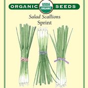 Renee's Organic Vegetable Seeds: Scallions