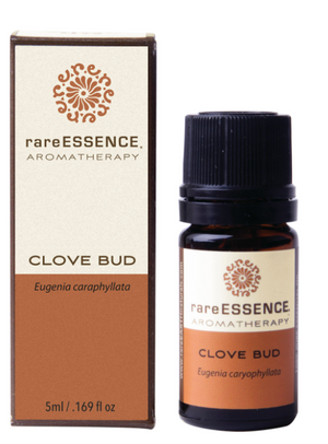 rareESSENCE Aromatherapy: Wild Crafted Clove Bud 100% Pure Essential Oil