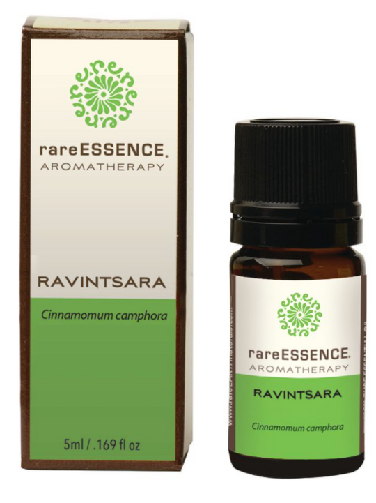rareESSENCE Aromatherapy: Ravintsara 100% Pure Essential Oil