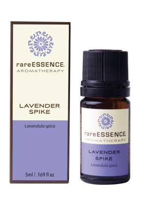 
            
                Load image into Gallery viewer, rareESSENCE Aromatherapy: Wild Crafted Lavender Spike 100% Pure Essential Oil
            
        