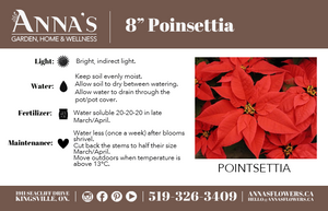 8" Poinsettia - W.E. Care for Kids