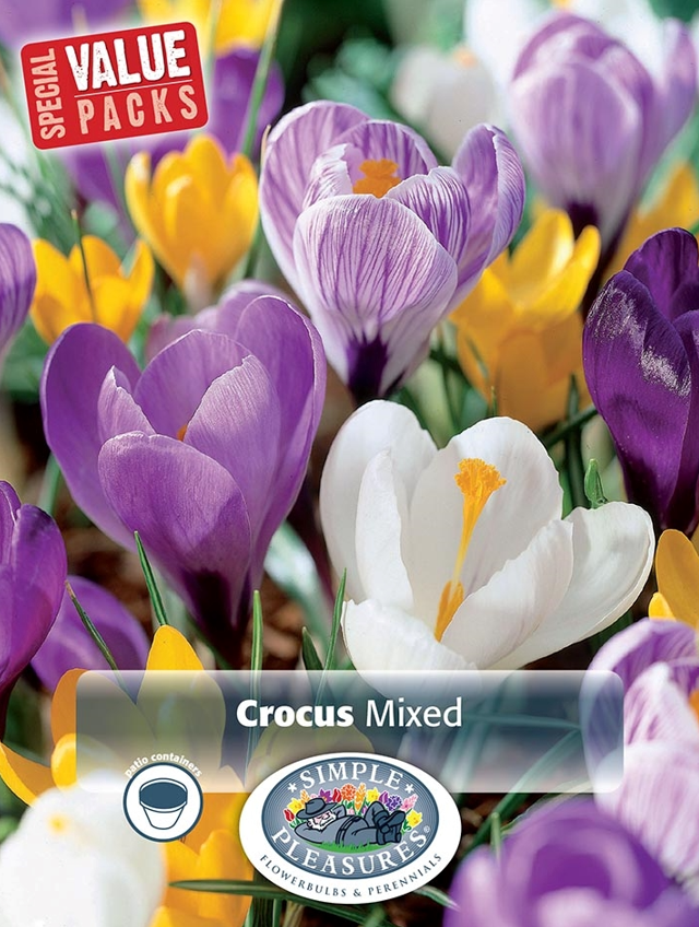 
            
                Load image into Gallery viewer, Crocus Giant Mixed Bulbs
            
        