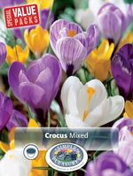Crocus Giant Mixed Bulbs