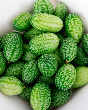 Cucamelon Cucumber Seeds (30 Seeds)