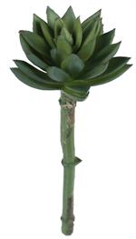 7" Succulent Pick - Green - Florals and Foliage