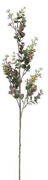 30" Mini Eucalyptus Spray Olive Green/Burgundy - Florals and Foliage