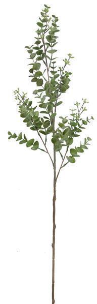 30" Mini Eucalyptus Spray Moss Green - Florals And Foliage