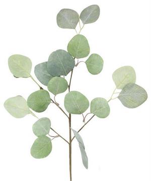 19" Eucalyptus Pick Green - Florals And Foliage