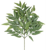 21" Blade Eucalyptus Spray Green - Florals And Foliage