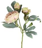 24" Peony Spray - Beige- Florals and Foliage