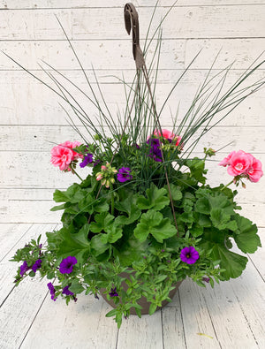 13" Geranium Mixed Hanging Basket (Multiple Colours)