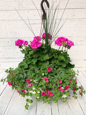 13" Geranium Mixed Hanging Basket (Multiple Colours)