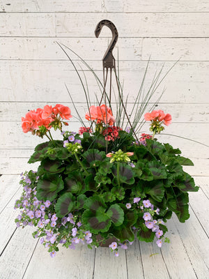 13" Geranium Mixed Hanging Basket (Multiple Colours)
