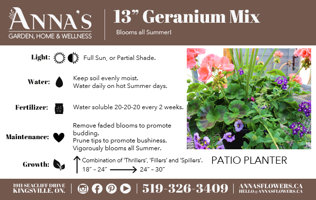 13” Round Geranium Patio Pot - Full Sun/Partial Shade (Multiple Colours)