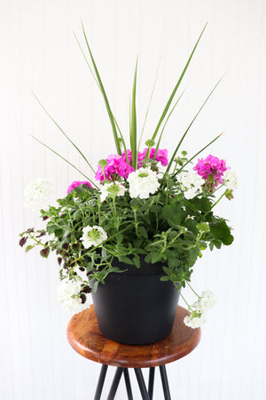 13” Round Geranium Patio Pot - Full Sun/Partial Shade (Multiple Colours)