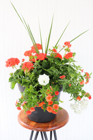 13” Round Geranium Patio Pot - Full Sun/Partial Shade (Multiple Colours)